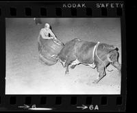 Geo. Doak Rodeo clown Bull fighting