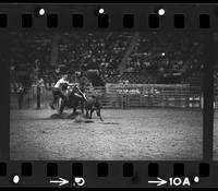 Bobby Goodspeed Calf roping