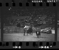 Don Douglas Calf roping