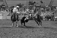 Bill Duvall Steer wrestling