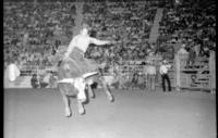 Bobby Berger on Bull #1