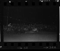 Unidentified Rodeo clowns Bull fighting