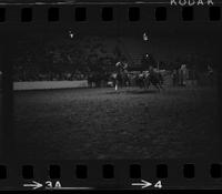 Leon bauerle Steer wrestling