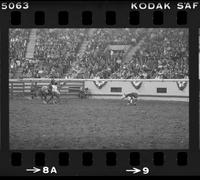 Terry Davidson Calf roping