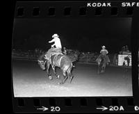 Gene Maynard on Saddle bronc #22