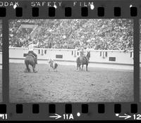 Terry Garside & Tom Miller Team roping