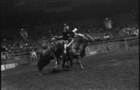 Unidentified Bronc rider on unknown mount