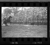 Dale Tubesing Calf roping