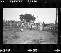 Unknown Rodeo clown Bull fighting