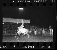 Ken Wilcox on Saddle bronc #39