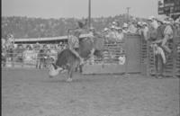 Rod Coquat on Bull #26