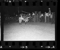 Mike Morrow Bull riding