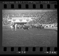 Hirdes & Melshaw Team roping