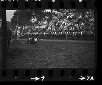 Mike Green Steer wrestling