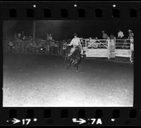Tony Coleman on Saddle bronc#33