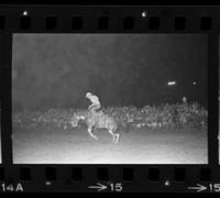 Gene Maynard on Saddle bronc #28