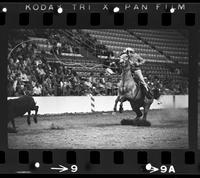 Jim Browning Calf roping