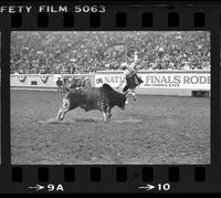 Rodeo clown Miles Hare Bull fighting with Bull #01