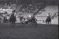 Rick Bradley Steer wrestling