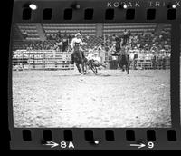 Linus Thornton Steer wrestling