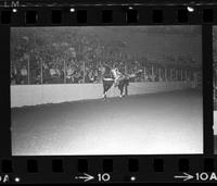 Janette Bolling Trick riding