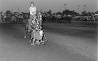 Unidentified Calf roper