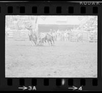 Bob Christopherson Steer wrestling