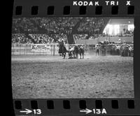 Kenneth Kelley Steer wrestling