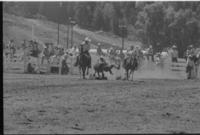 Cap Bell Steer wrestling