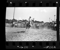 Ivyl Gheer on Saddle bronc #52