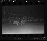 Unidentified Rodeo clowns Bull fighting