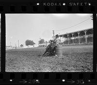 Mary Milhollin Barrel racing