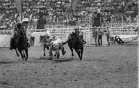 John McSweeney Steer wrestling