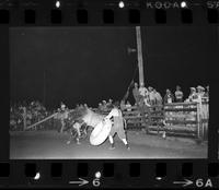 Joe Lough on Bull #1