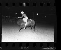 Doyle Sanford on Bull #28