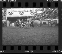 Carl Deaton Steer wrestling