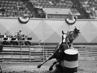 Nancy McEnaney Barrel racing