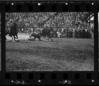 John Corkery Steer wrestling