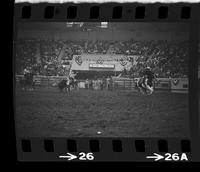 Leo Camarillo & H.P. Evetts Team roping