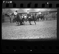 Leon Bauerle Steer wrestling