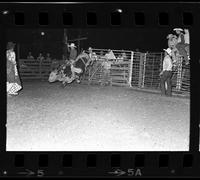 Nick Foreman on Bull #4