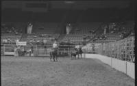 Tim Tierney & Kelvin Sharp Team roping