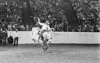 Unidentified rider on unknown mount