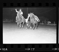 Bill Newsome Steer wrestling