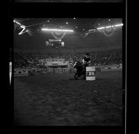 Dee Watt Barrel racing