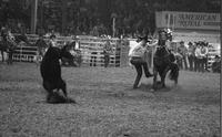 J.D. Tadlock Calf roping