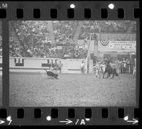 Dean Oliver Calf roping