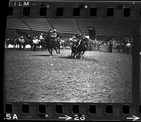 Dub Sams Steer wrestling