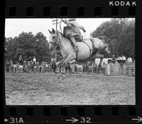 Dave Goodman on Saddle bronc#00