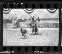 J.W. Farrington Calf roping